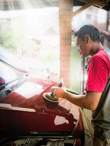 DITERA profesional