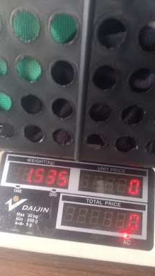 Divaplus laundry
