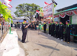 Djakarta Cathouse