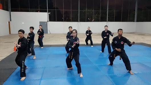 Dojang Hapkido MIRACLE Jakarta - Walet Indah PIK