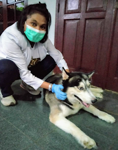 DOKTER HEWAN DEWI