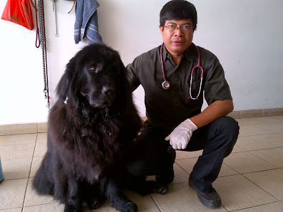 Dokter Hewan Panggilan Jakarta (Drh Putu Pande S)