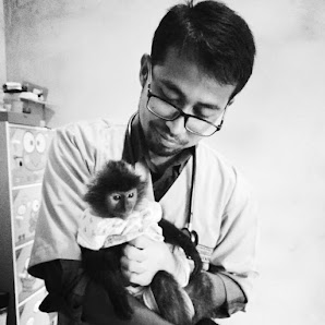 Dokter Hewan, Toboali-Pet Care