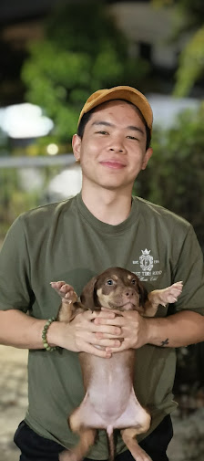 Doms Kingdom (PITBULL & BULLY XXL KENNEL)