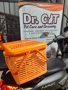 Dr. Cat Animal Care