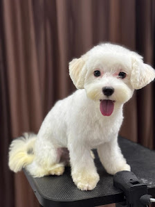Dr.Matter Grooming Cengkareng