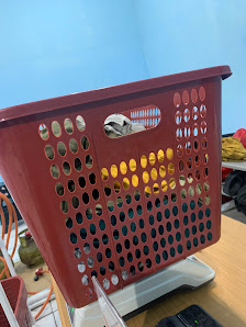 EDITH Laundry