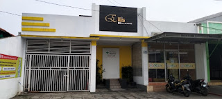 Ellis Estetika Pengasinan