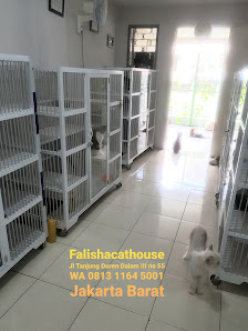 FALISHA Penitipan Kucing