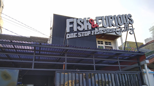 Fish and Furious Gallery