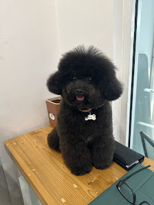 Furbabies Salon & Store