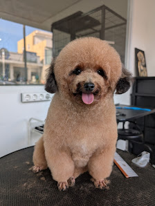 Furrito Petsalon