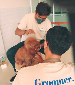 Furrytail Pet Grooming and Dog Hotel (Home Service Available)