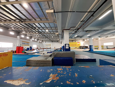 Gavrila Gymnastics Mampang
