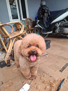 Gedegrooming