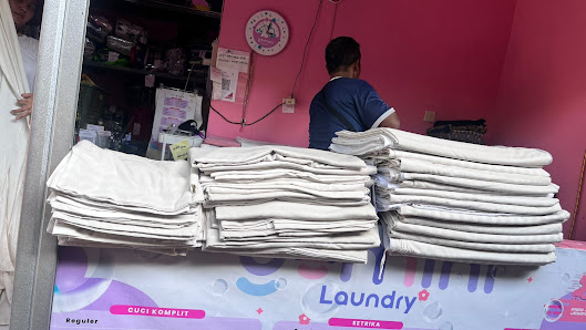 Gemini Laundry
