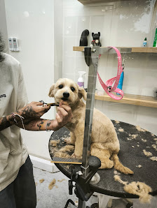 Glampaws Pet Grooming & Hotel