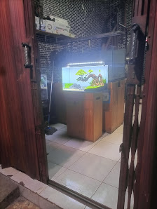 GLOBAL AQUASCAPE