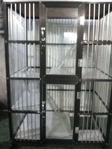 Gm Pet Shop&Grooming