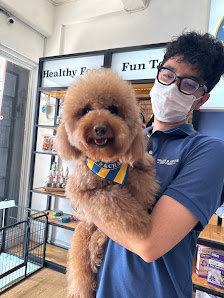 Goldie & Chase Pet Care
