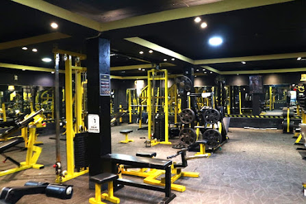 Grip & Bars Gym