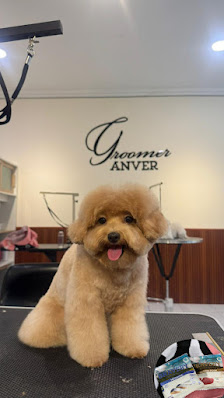 GROOMER ANVER