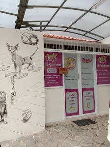 Groovy Pet Center Radio
