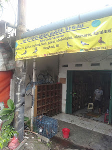 Grosir burung dara pusat pasar minggu