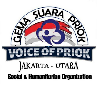 GSP-Pro Organizer