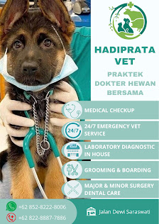 Hadiprata Vet