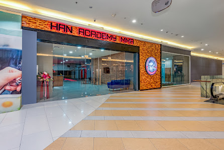 Han Academy MMA