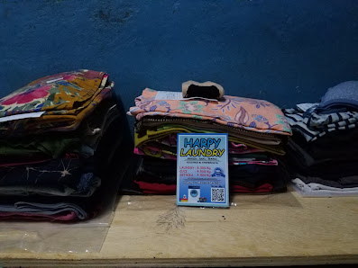Harpy Laundry Johar Baru