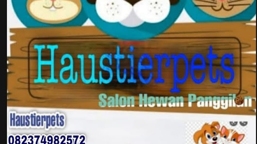 haustierpets Grooming House Call Jakarta