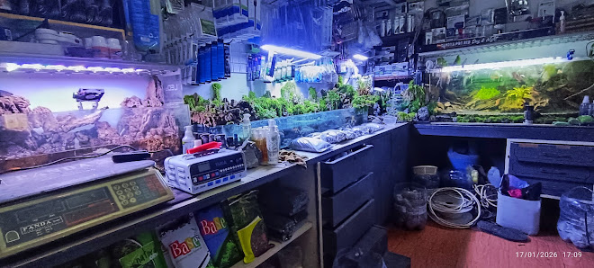 Hexaquashop