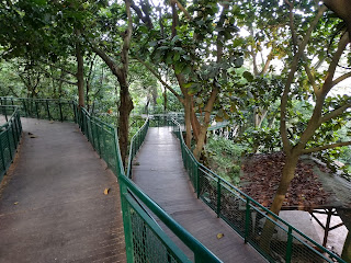Hutan Kota Babakan Siliwangi Bandung