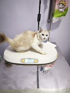 HY VET Animal Clinic & Care