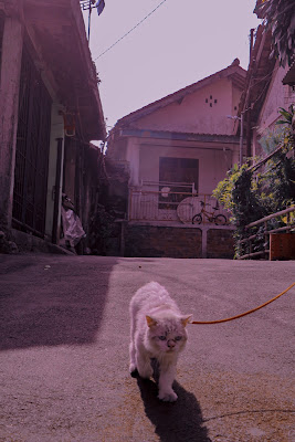 Ikhsan House