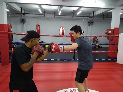 Impact MMA mixed martial art