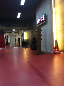 Impact MMA