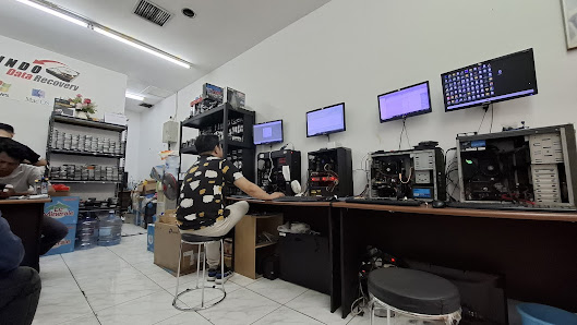 Indodata Recovery