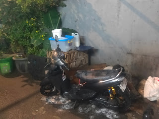 Irgie Steam Motor