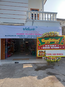 Iridium Petshop