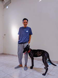 Jakarta Dog School