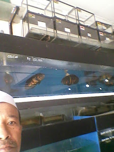 Jakarta Koi Center