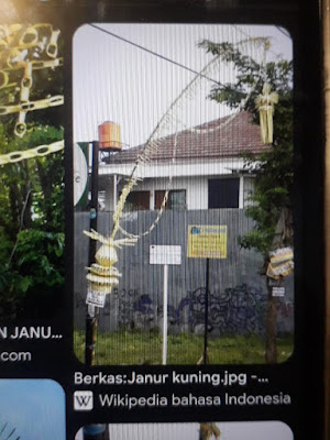 Janur kuning