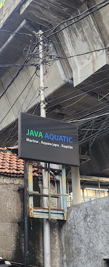 JAVA PETCO JAKSEL