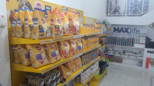 JJ PET HOUSE (JAKARTA)
