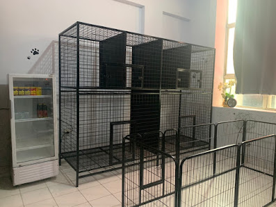 JJ Star Kennel