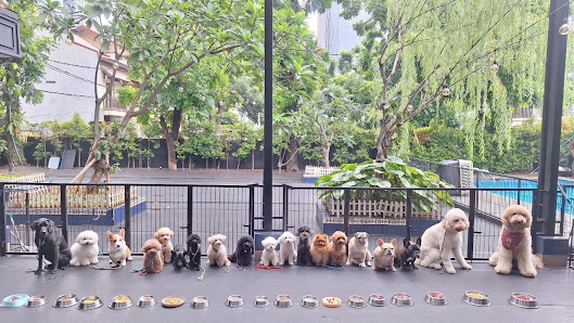 K9 KLAN CLUBHOUSE