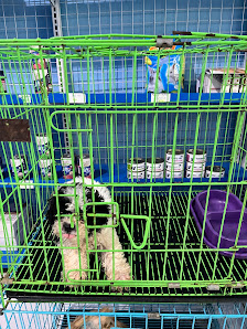 KAHFKAHF PETCARE by RezSOFFA